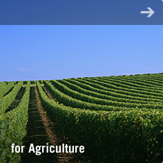 for Agriculture